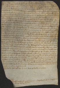 94 D.18.LXXXVIr, Investitura fatta da Dodone vescovo a favore di Bonatino Senzafigli da Savignano, Modena, [1130-1138, nov. 17]